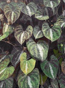 Heart-Shaped Leaves Mosaic Art