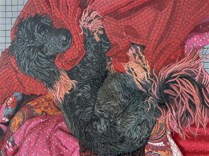 Мозаика «Уютный черный пес» — Игривый портрет