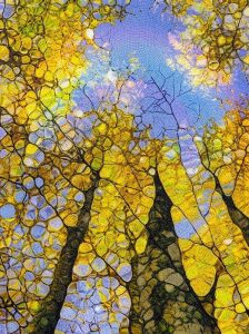 Осенний лес в мозаике MELTI — Взгляд в небо