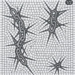 Мозаика «Шипы» — Абстрактное искусство в ч/б