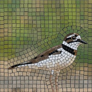 Мозаика: Маленькая птица в природе