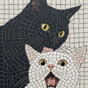 Мозаика: Удивленные белый и серый коты