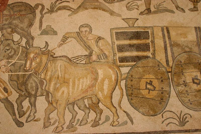 Roman Ox Cart Mosaic - Villa Romana del Casale