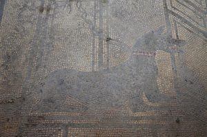 Интересная мозаика Андромеды из музея Зеума в Газиантепе