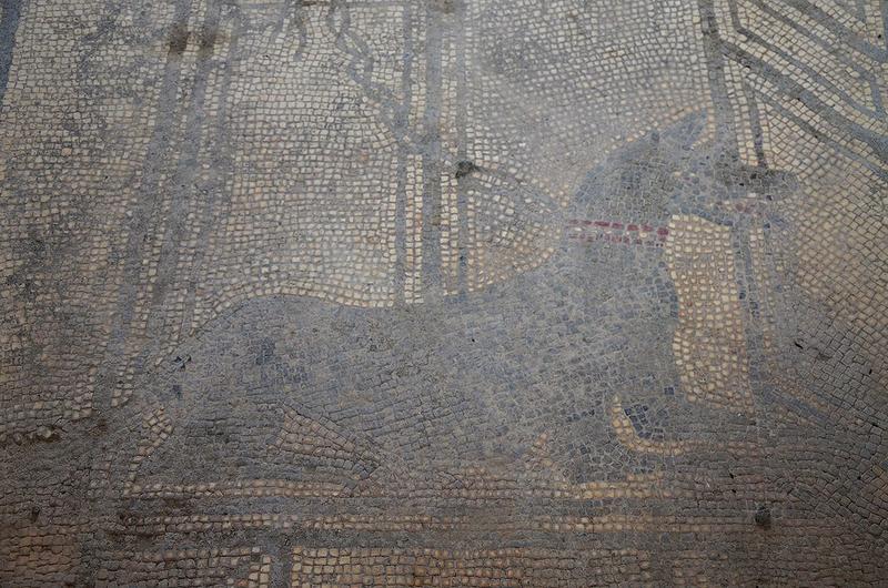 Мозаика Помпеи: Конь из Дома Паукия