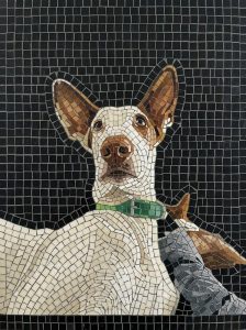 Мозаичный портрет любопытной собаки