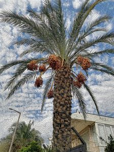 Мозаика «Финиковая пальма»