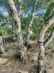 Мозаика «Березовая роща» — Красота природы