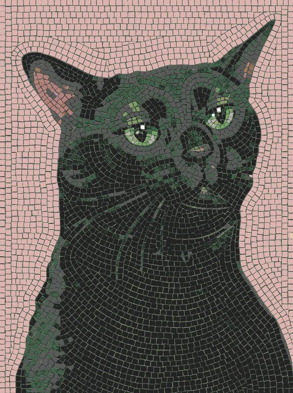 Мелкий модуль: чёрный кот на розовом фоне