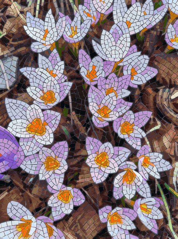 Spring Crocuses Mosaic Art - 60x80 cm