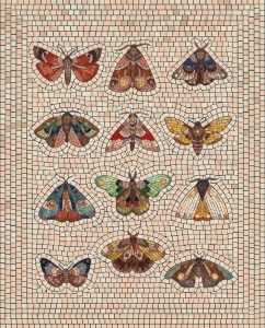 Mosaic Art: Collection of Colorful Moths and Butterflies