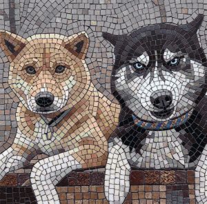 Mosaic Portrait of Two Dogs – Husky and Shiba Inu
