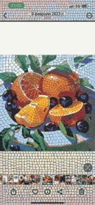 Vibrant Citrus and Berry Mosaic Art