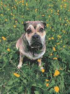 Mosaic Art: Cute Dog in a Green Meadow