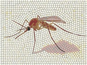 Mosaic Art Mosquito – Detailed Insect Study