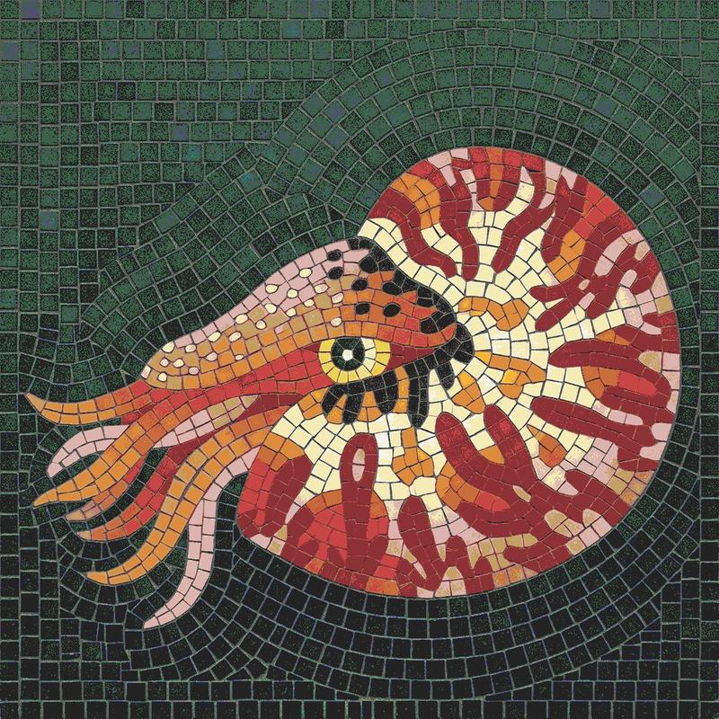 Vibrant Nautilus Mosaic Art - 60x60 cm