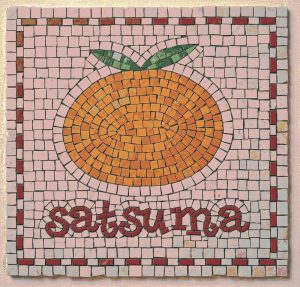 Satsuma Fruit Mosaic Art – Vibrant Handcrafted Wall Decor