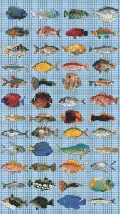 Colorful Fish Mosaic Art Collection