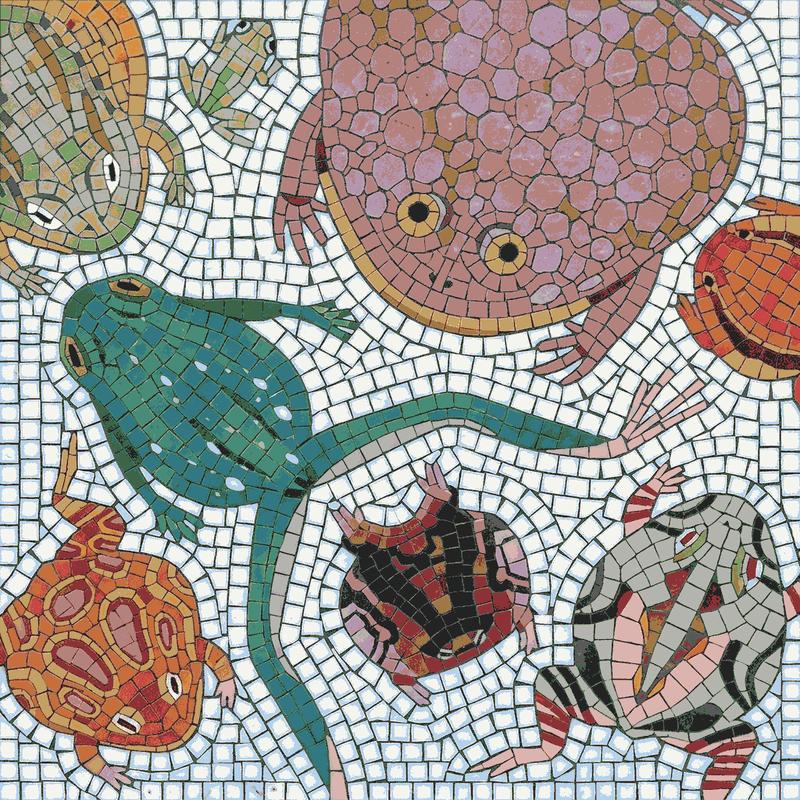 Colorful Frogs Mosaic Art - 60x60 cm