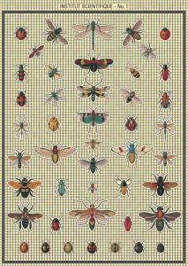 Vintage Insect Scientific Chart Mosaic Art