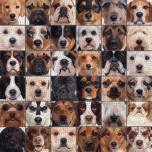Mosaic Dog Portraits Collection
