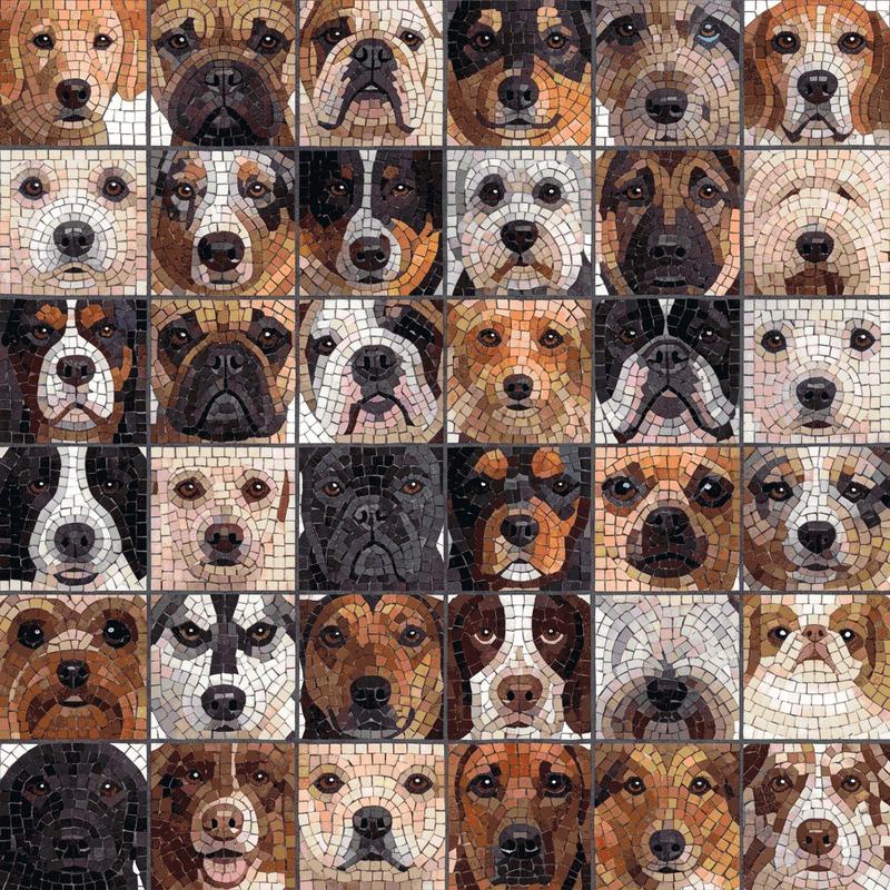 Mosaic Dog Portraits Collection