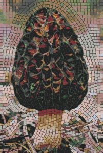 Morel Mushroom Mosaic Art – Nature’s Intricate Pattern