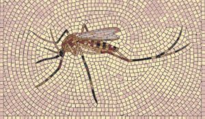 Classic Mosaic Art – The Mosquito