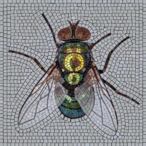 Mosaic Art Fly – Detailed Insect Wall Decor